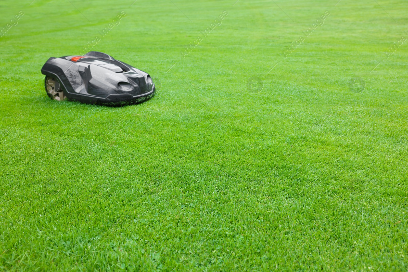 Photo of Modern lawn mower on green grass outdoors. Space for text