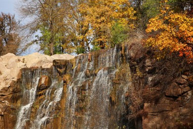 Picturesque view of beautiful waterfall and trees on sunny day