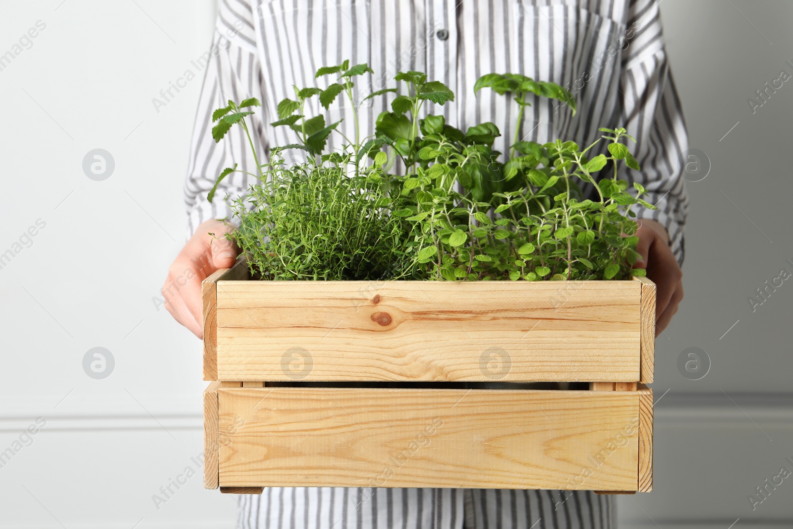 Photo of Woman holding wooden crate with different aromatic herbs, closeup