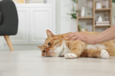 Woman petting cute ginger cat on floor at home, closeup