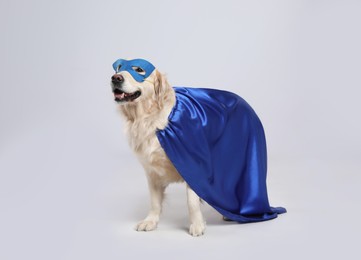 Adorable dog in blue superhero cape and mask on light grey background