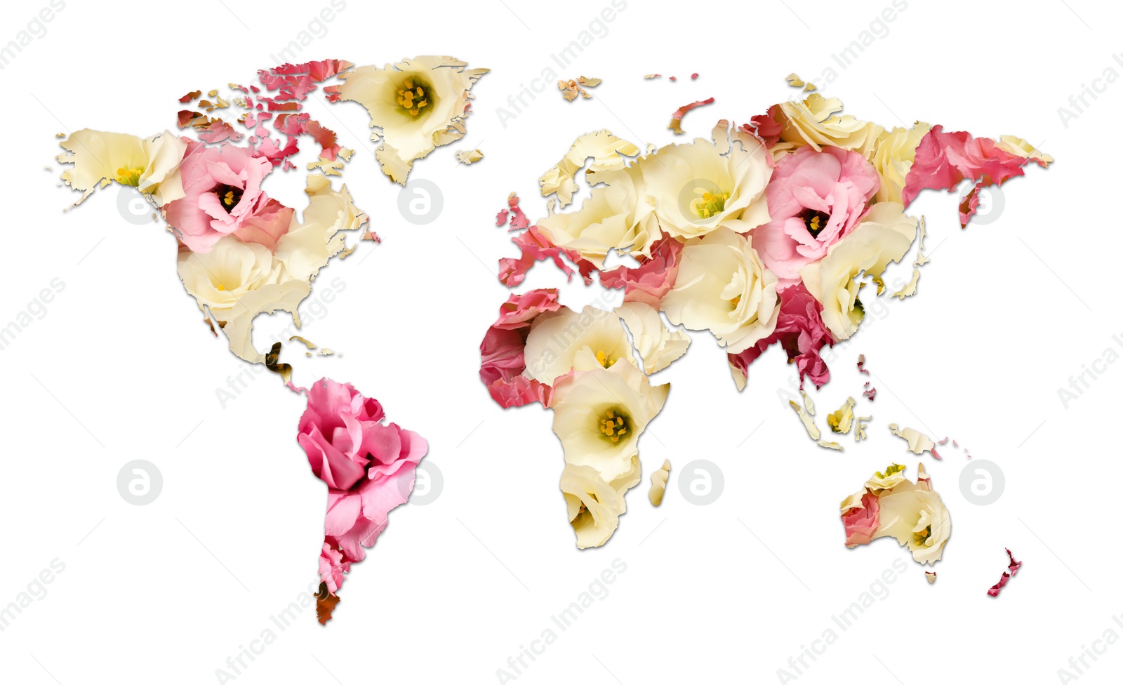 Image of World map made of beautiful flowers on white background, banner design