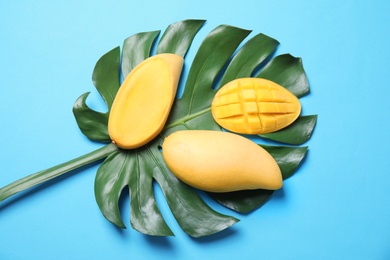 Photo of Flat lay composition with mango and tropical leaf on color background