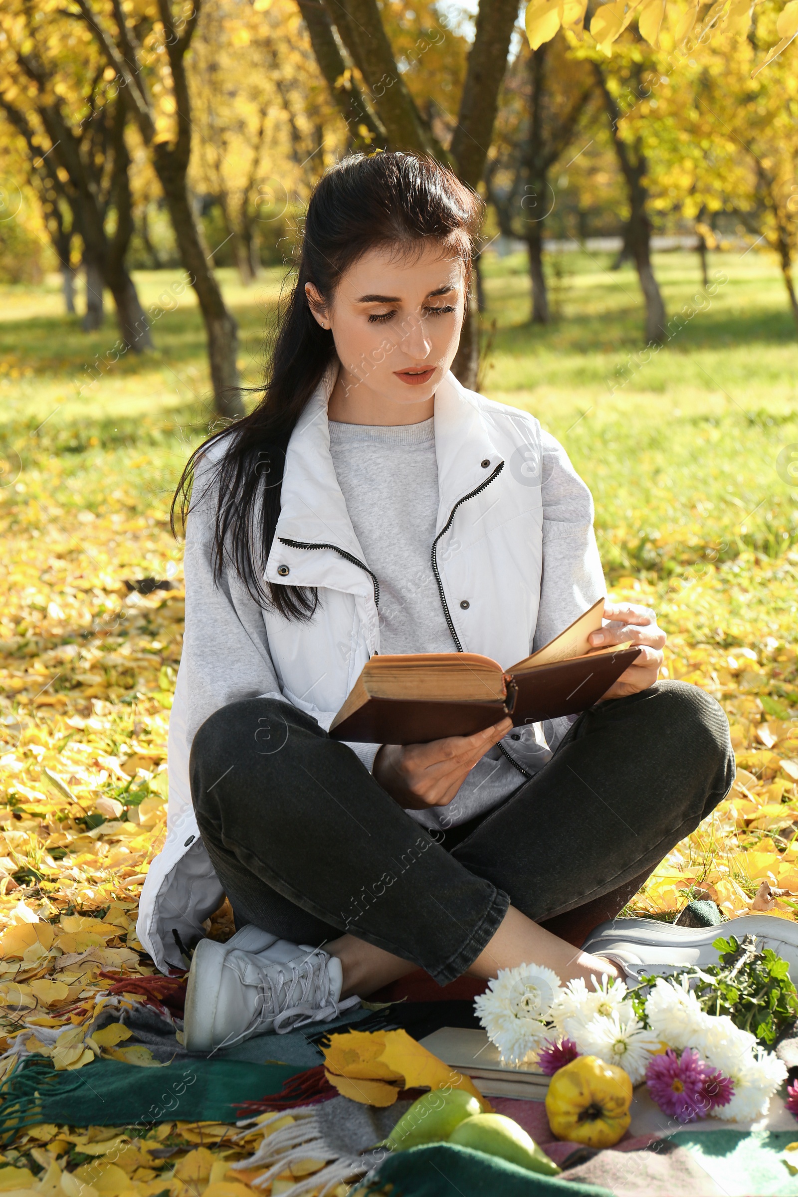 Photo of Woman reading book in park on autumn day