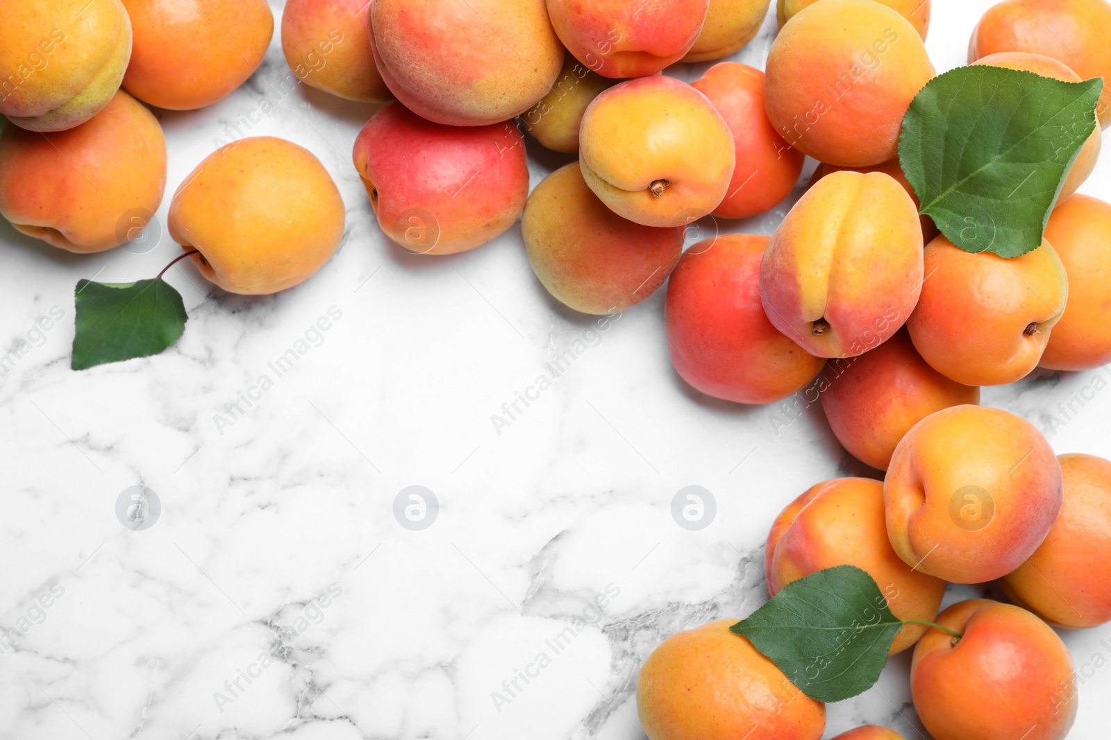 Photo of Many fresh ripe apricots on white marble table, flat lay. Space for text