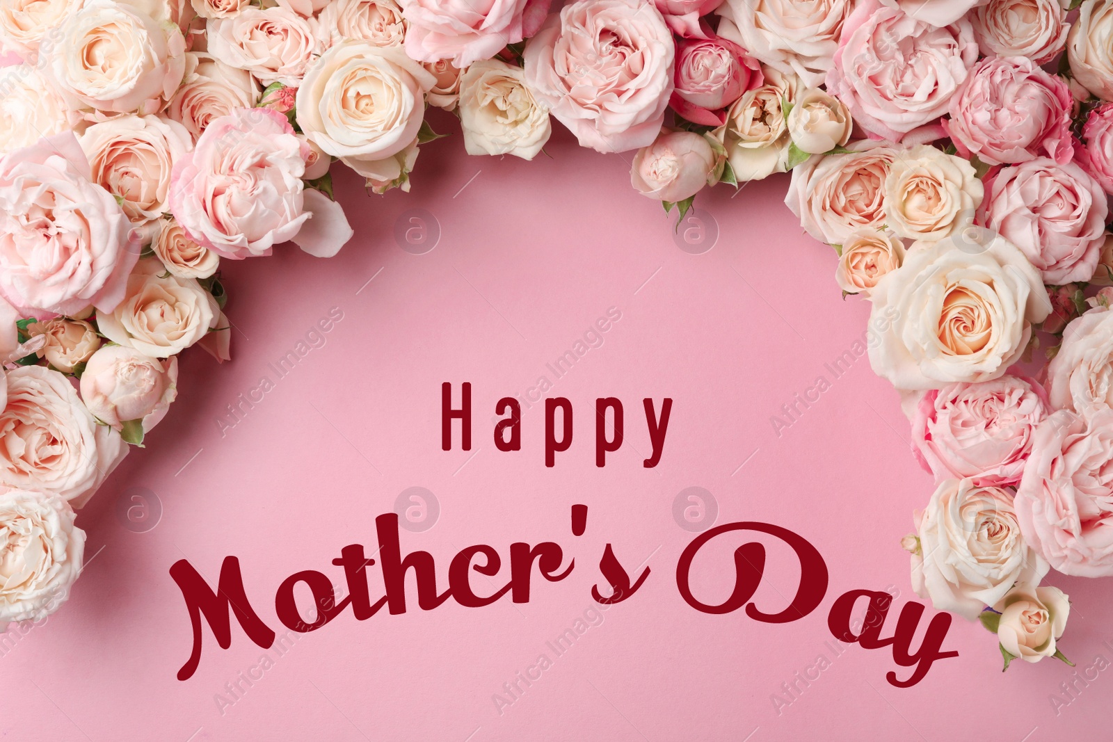 Image of Happy Mother's Day. Beautiful roses on pink background, flat lay