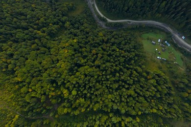 Image of Aerial view of asphalt road surrounded by forest with beautiful green trees