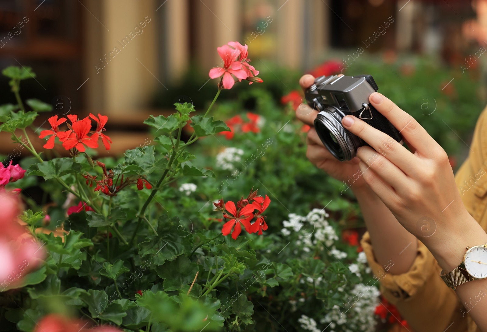 Photo of Young woman with camera taking photo of beautiful flowers on city street, closeup. Interesting hobby