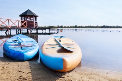 Photo of SUP boards with paddles on river shore