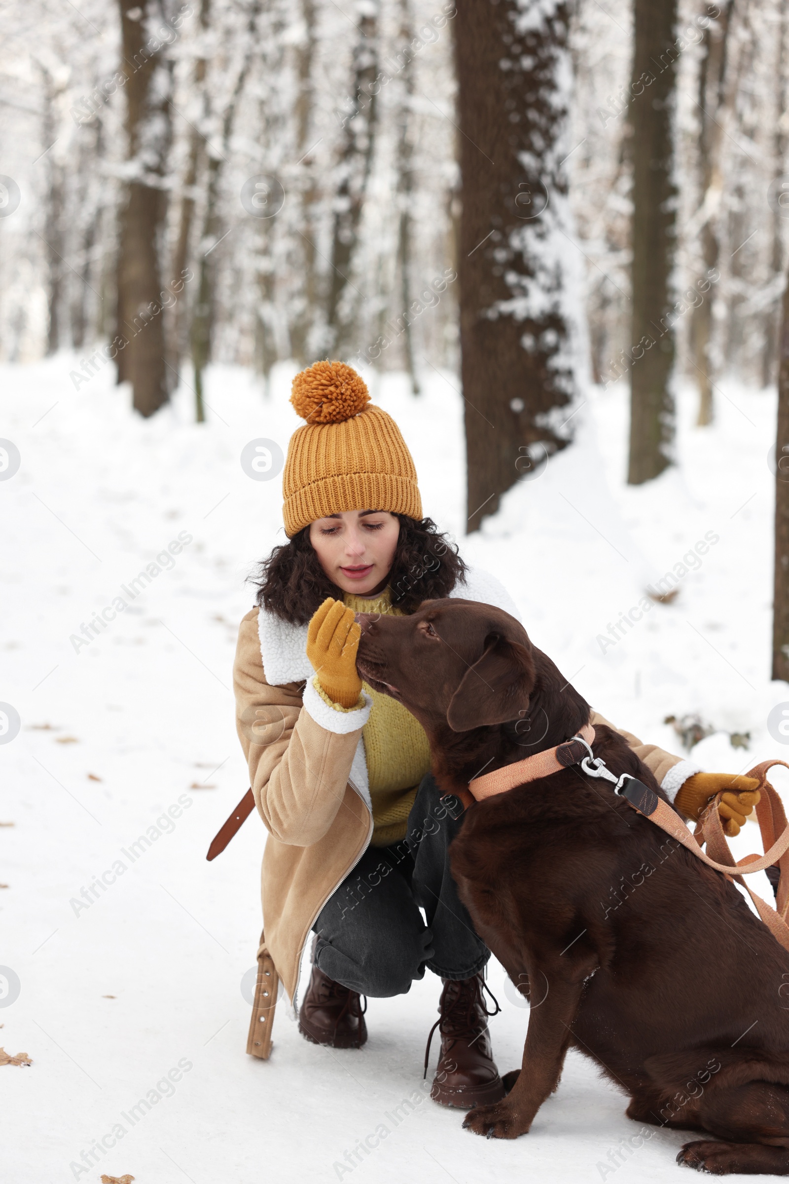 Photo of Woman with adorable Labrador Retriever dog in snowy park