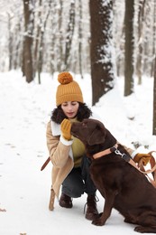 Photo of Woman with adorable Labrador Retriever dog in snowy park