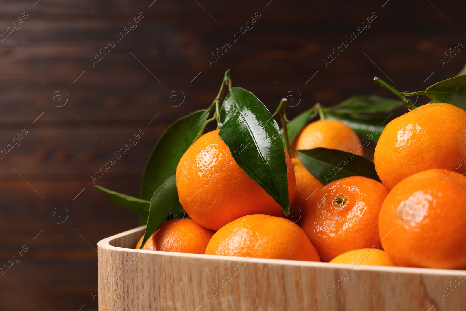 Photo of Fresh tangerines with green leaves in wooden crate, closeup. Space for text