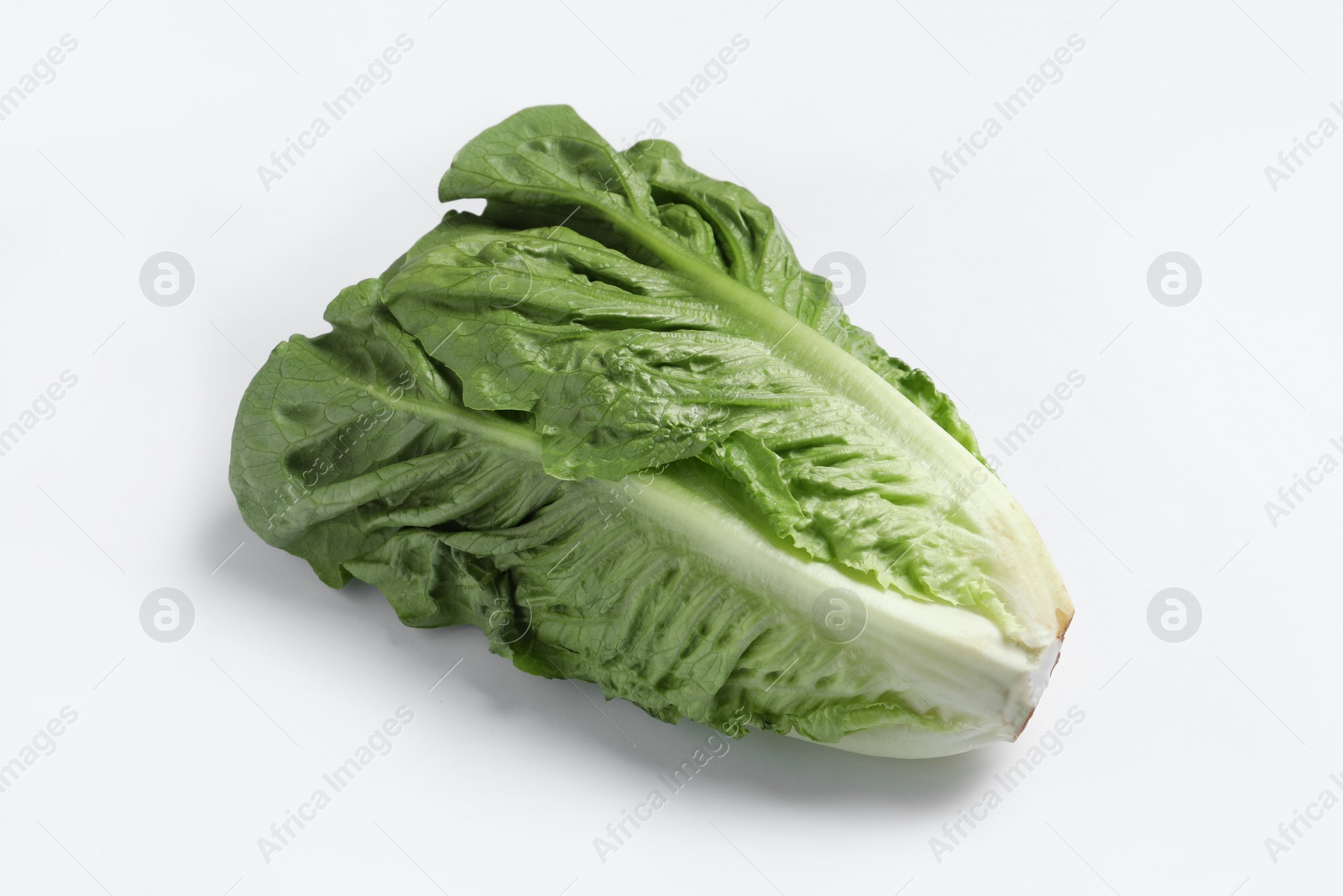 Photo of Fresh green romaine lettuce on white background