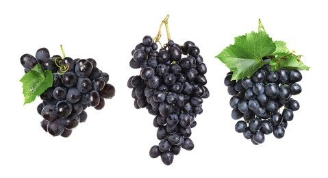 Image of Set of fresh grapes on white background. Banner design