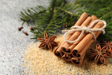 Different spices and fir branches on gray table, closeup. Space for text