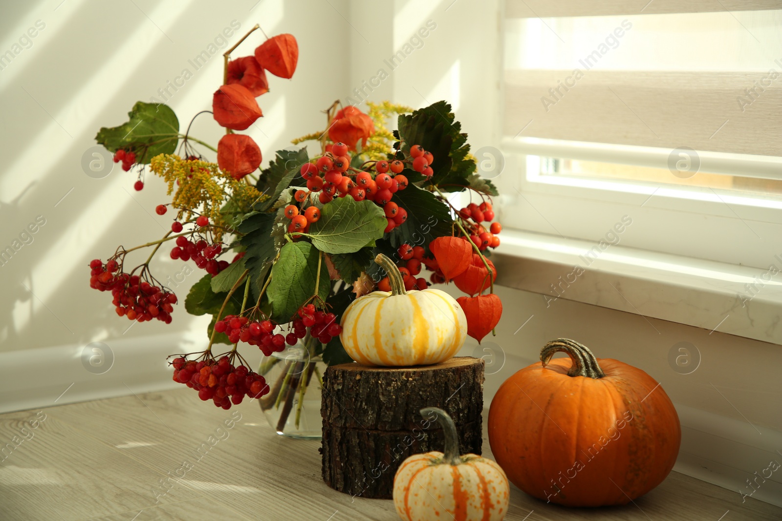 Photo of Beautiful autumn composition with different pumpkins indoors