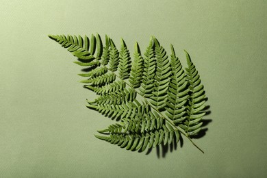 Photo of Beautiful tropical fern leaf on light green background, top view