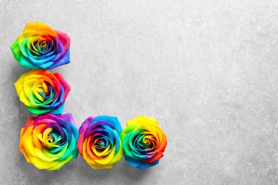 Photo of Rainbow rose flowers on gray background, top view