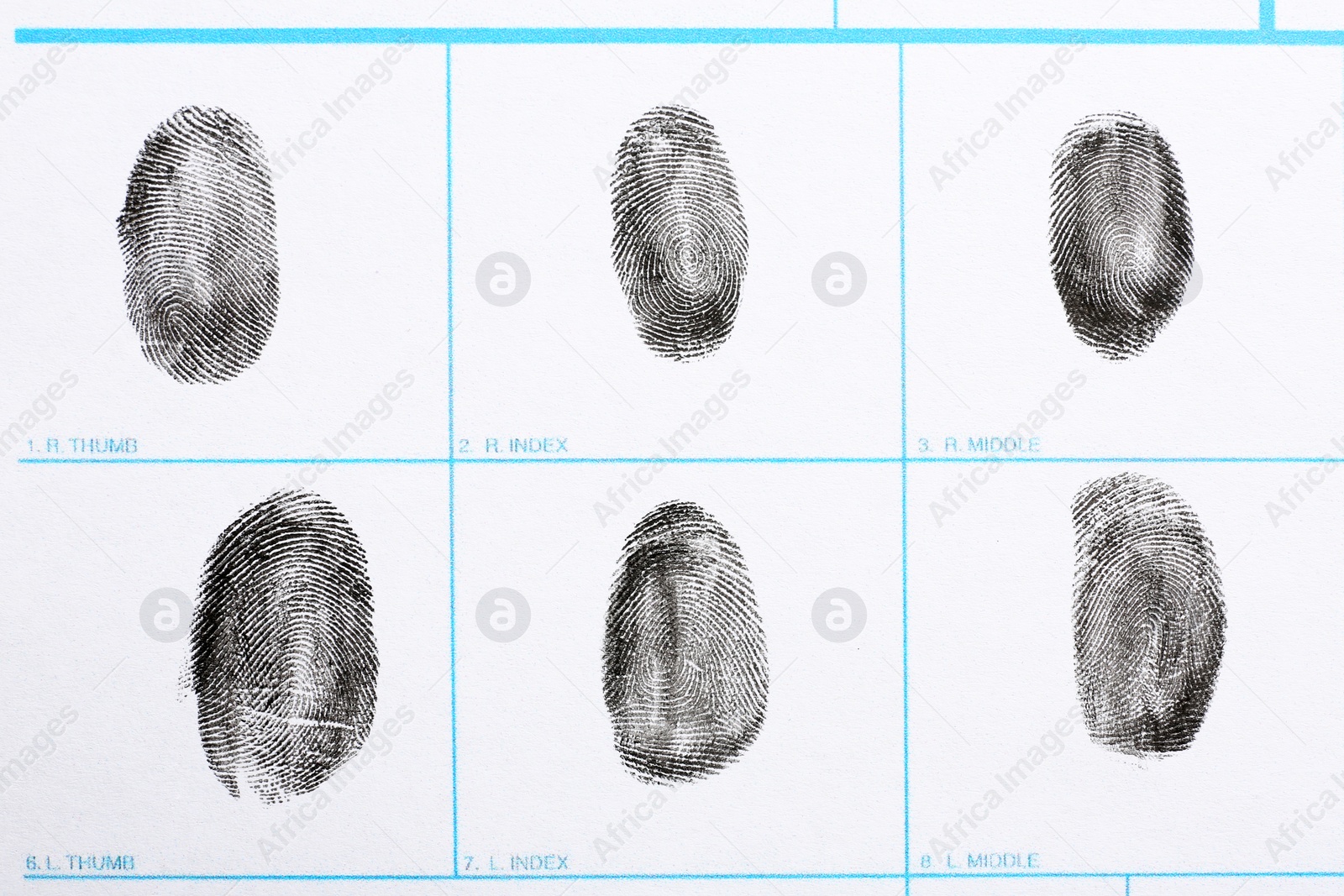 Photo of Fingerprint record sheet, top view. Criminal investigation