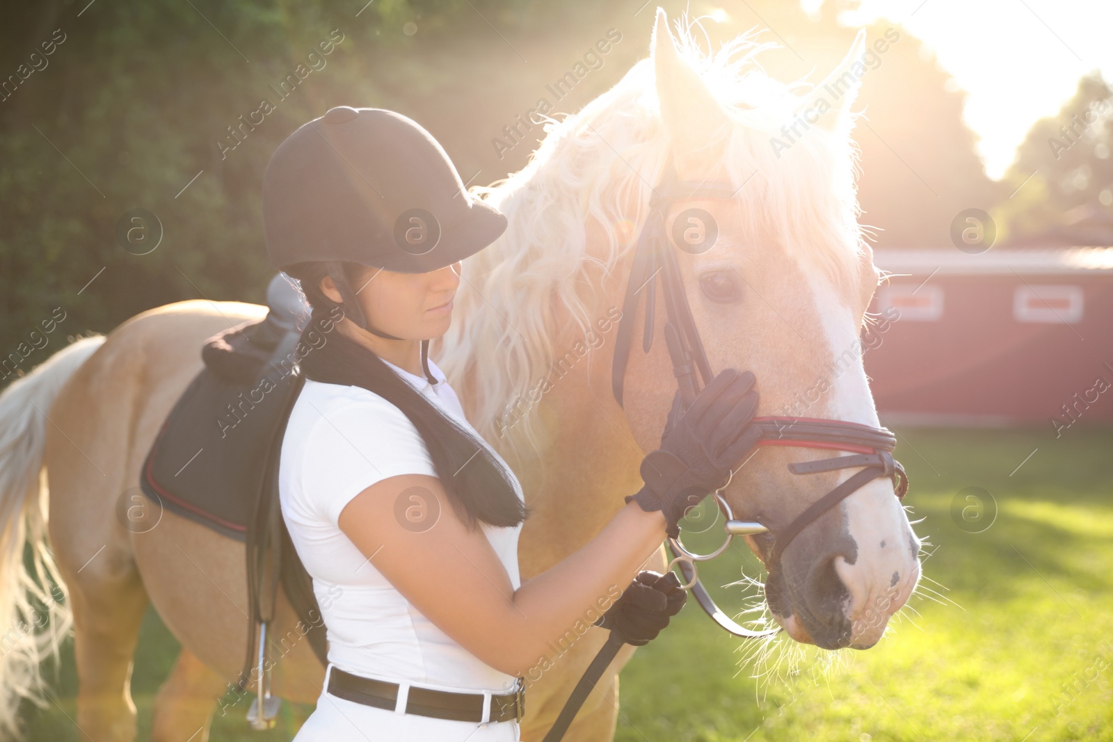 Photo of Young woman in horse riding suit and her beautiful pet outdoors on sunny day