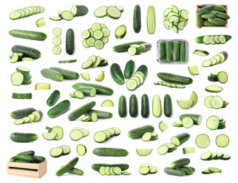 Image of Set with whole and sliced cucumbers on white background