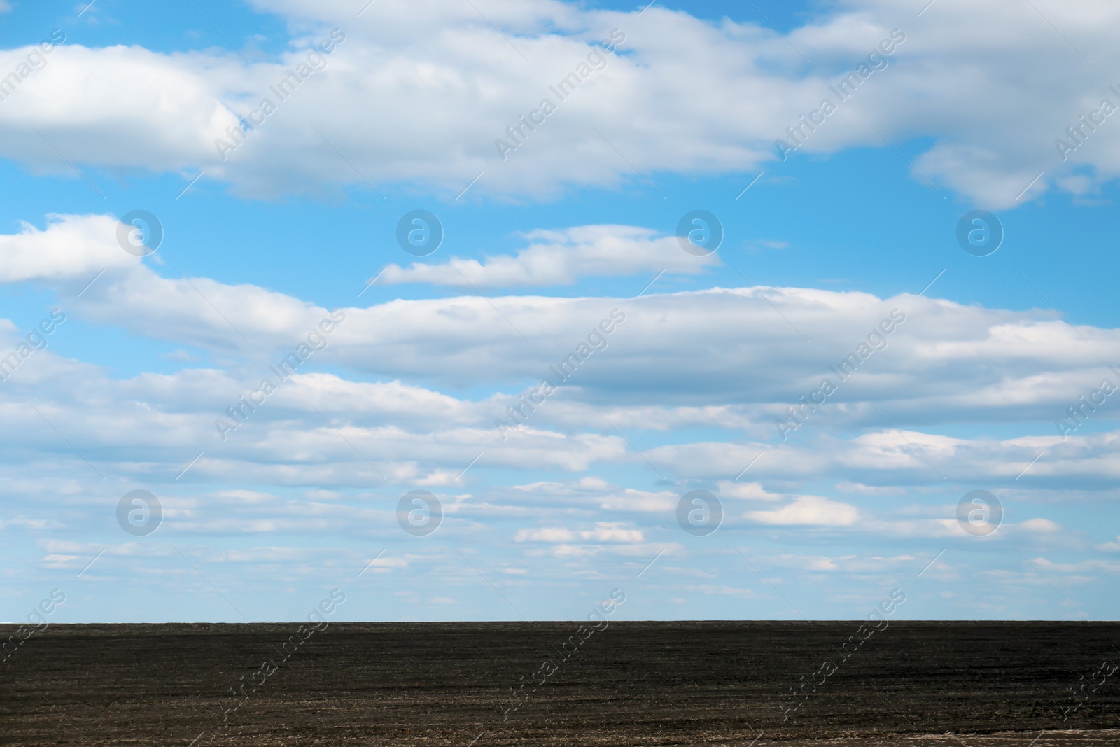 Photo of Picturesque view of agricultural field on cloudy day