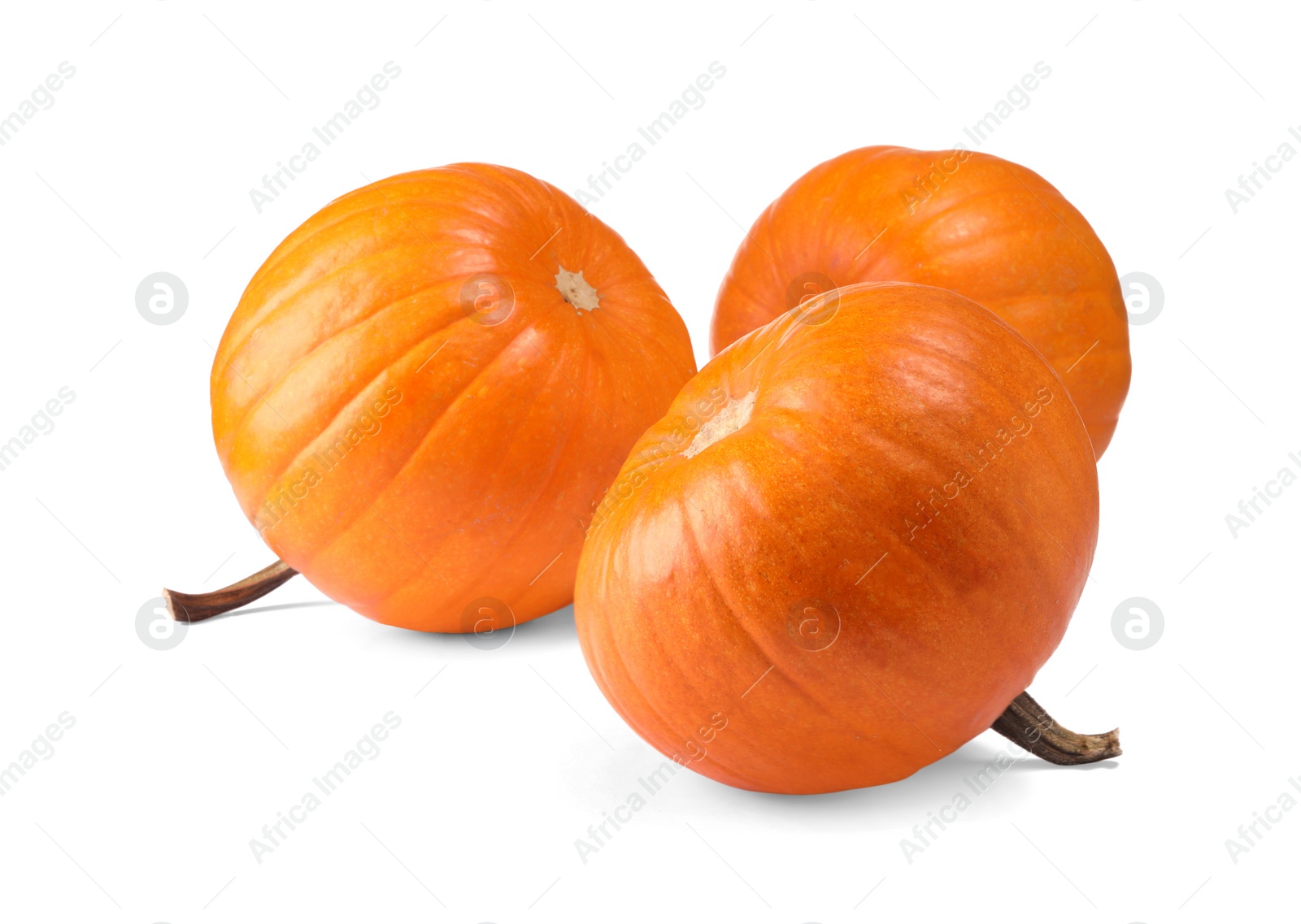 Photo of Many fresh orange pumpkins isolated on white