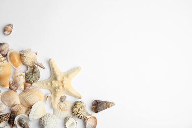 Photo of Different beautiful sea shells on white background, top view