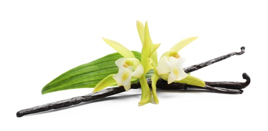 Vanilla pods, beautiful flowers and green leaf isolated on white