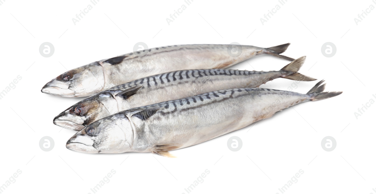 Photo of Many tasty salted mackerels isolated on white