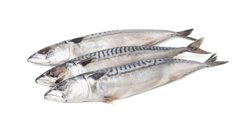 Photo of Many tasty salted mackerels isolated on white
