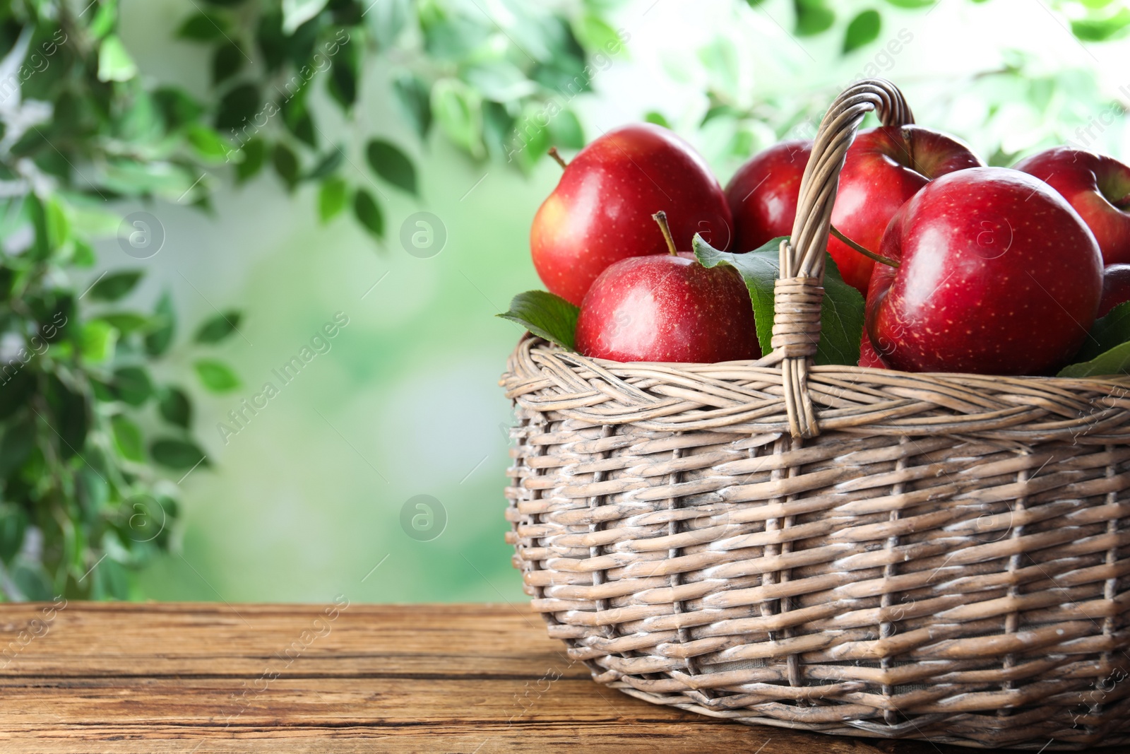 Photo of Juicy red apples in wicker basket on wooden table outdoors. Space for text