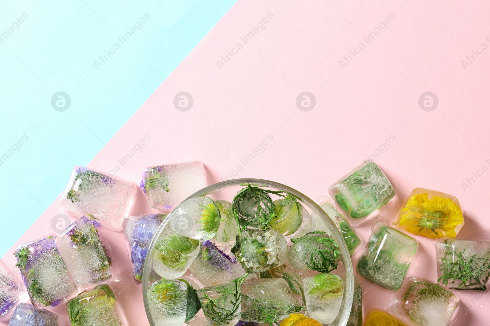 Photo of Ice cubes with flowers and glass bowl on color background, flat lay. Space for text
