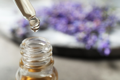 Photo of Dripping lavender essential oil into bottle, closeup. Space for text