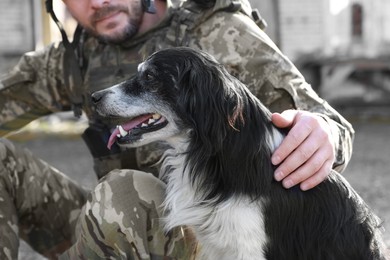 Photo of Ukrainian soldier stroking stray dog outdoors, closeup
