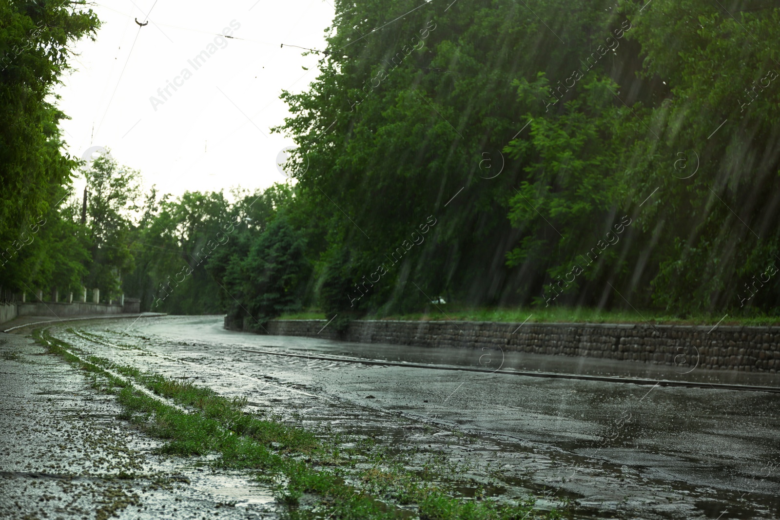 Photo of View of heavy pouring rain on city street