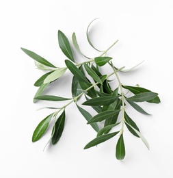 Twigs with fresh green olive leaves on white background, top view