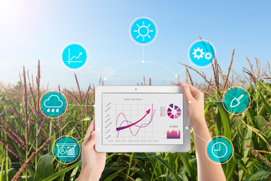 Image of Modern agriculture. Woman with tablet in corn field and icons, closeup