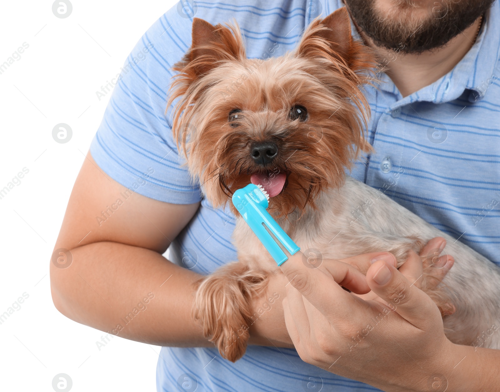 Photo of Man brushing dog's teeth on white background, closeup