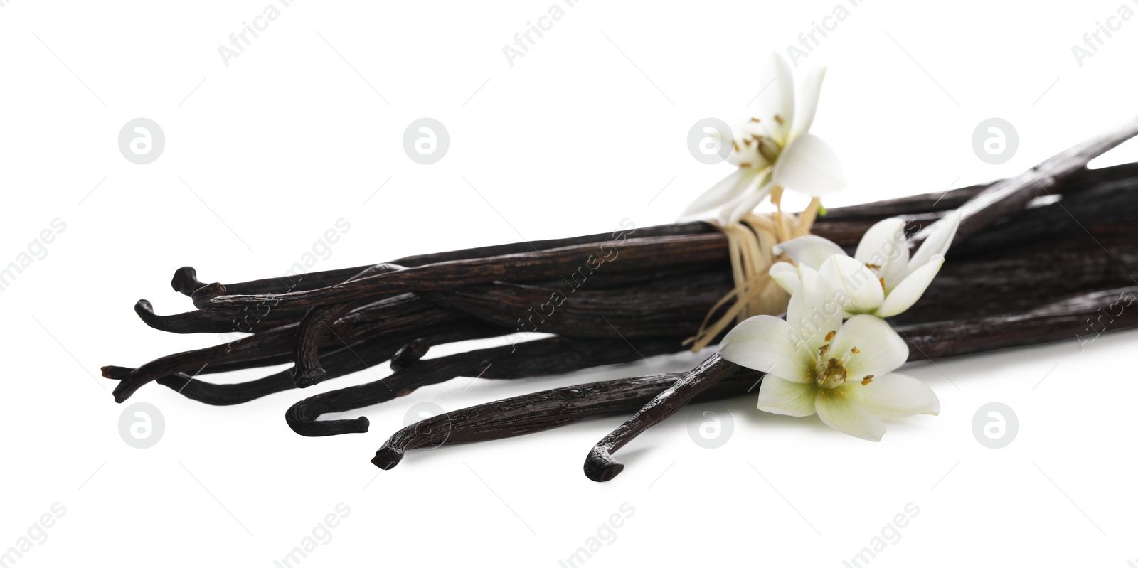 Photo of Vanilla pods and flowers isolated on white