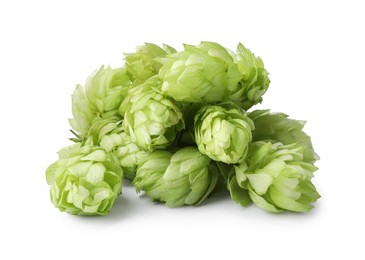 Photo of Fresh ripe green hops on white background
