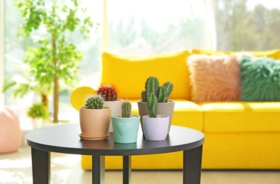 Stylish room interior with beautiful cacti and yellow sofa