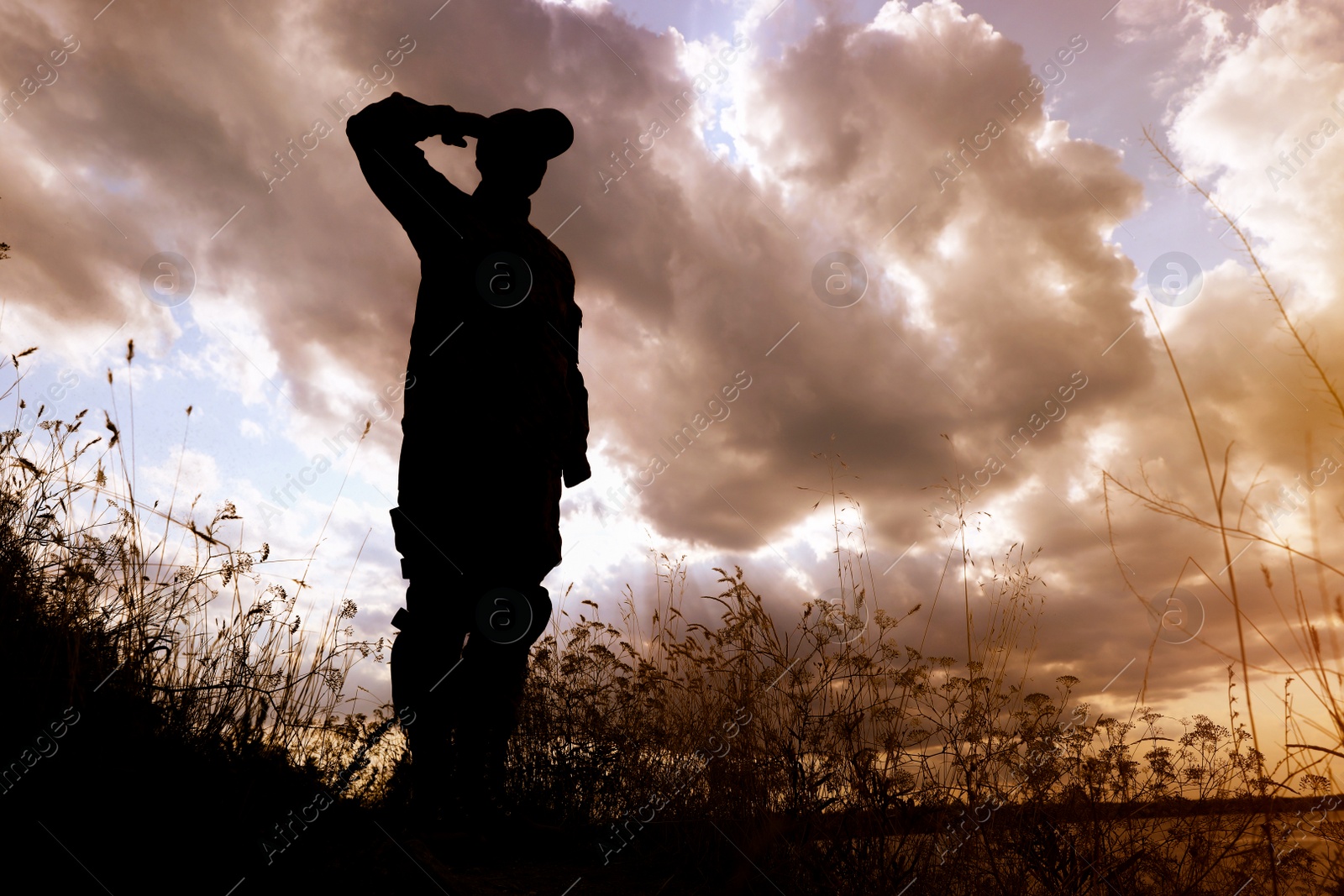 Photo of Soldier in uniform saluting outdoors. Military service