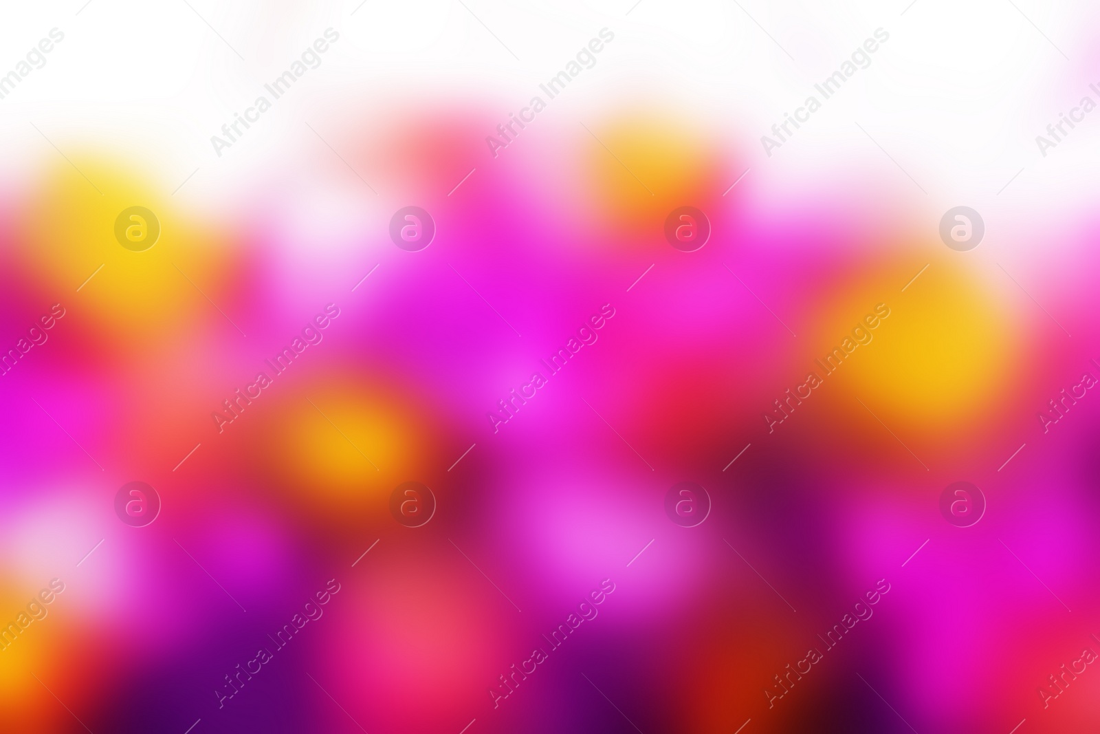 Image of Blurred view of abstract bright background. Bokeh effect