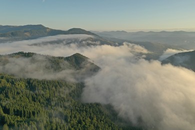 Photo of Aerial view of beautiful mountain forest covered with fluffy clouds on sunny day