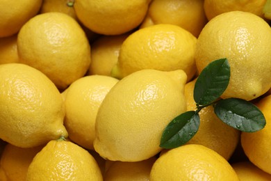 Photo of Fresh lemons and green leaves as background, closeup