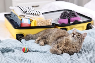 Photo of Travel with pet. Cat, ball, clothes and suitcase on bed indoors