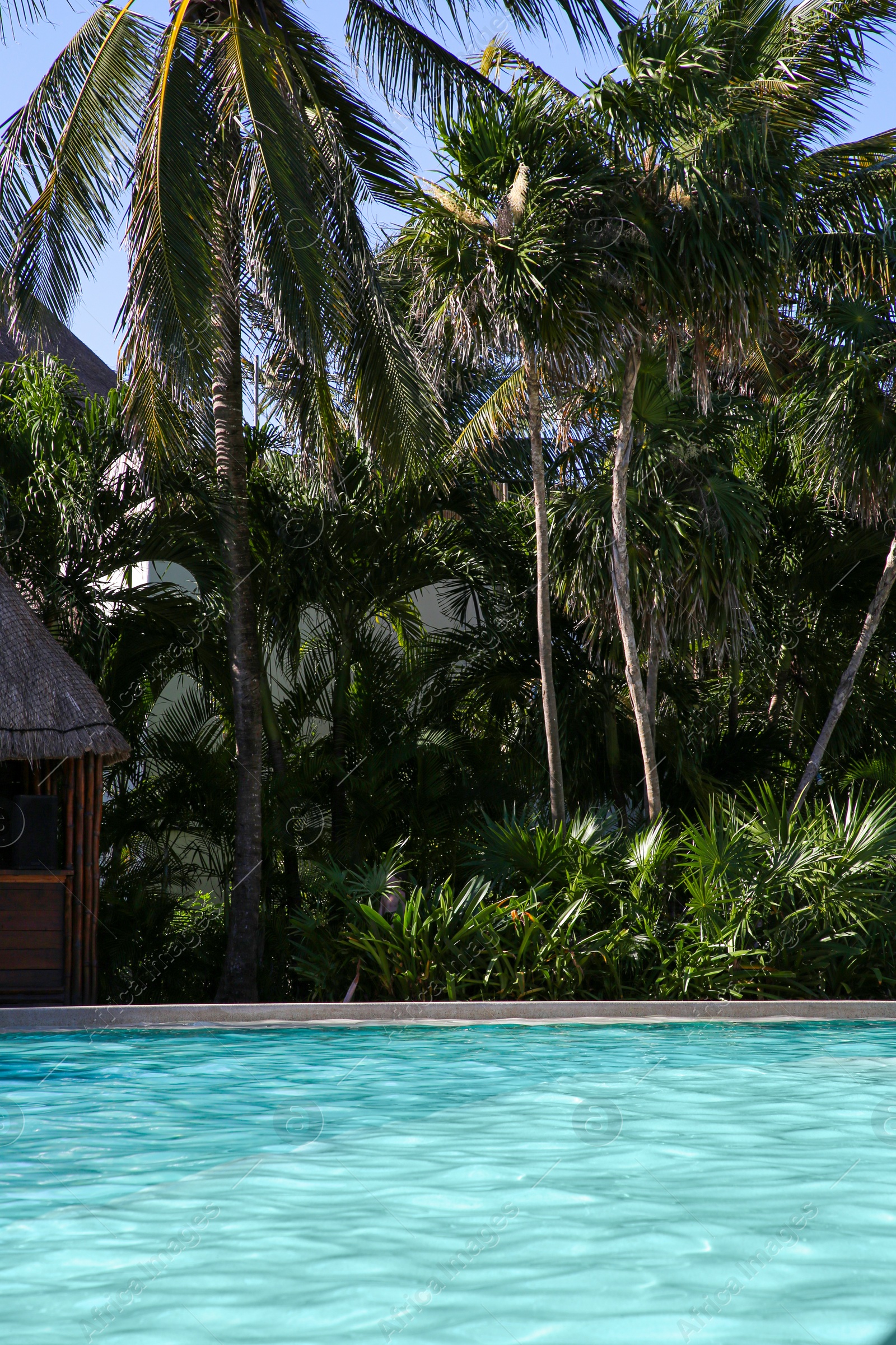 Photo of Outdoor swimming pool at resort on sunny day