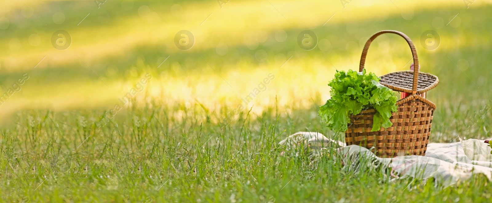 Image of Picnic basket with lettuce and blanket on green grass in park, space for text. Banner design