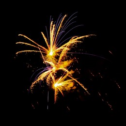 Image of Beautiful bright fireworks lighting up night sky